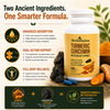 Herbafusion Turmeric Curcumin Supplement with Shilajit Extract – 500 mg